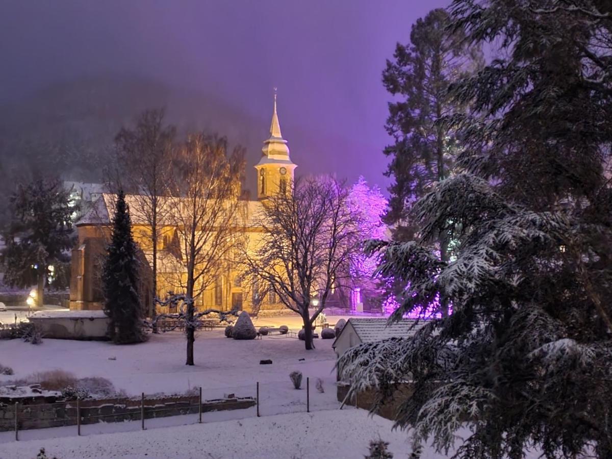 Am Klosterviertel บัดแฮร์เรนอัลบ์ ภายนอก รูปภาพ